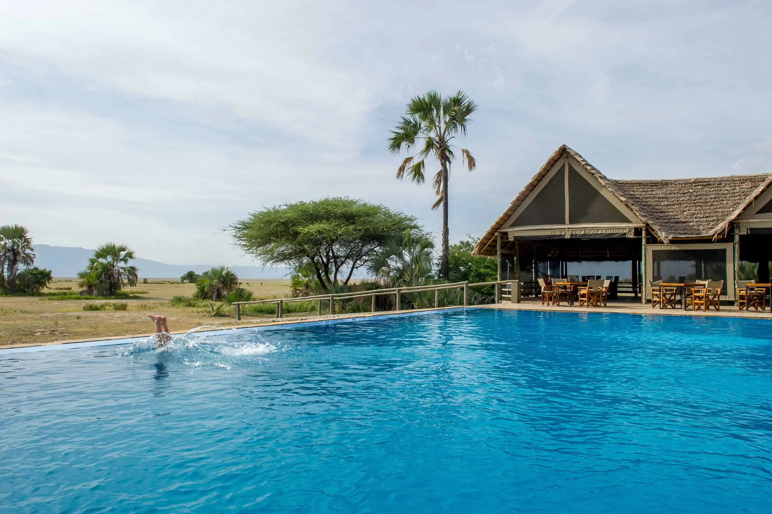 Full Day in Tarangire accommodation image