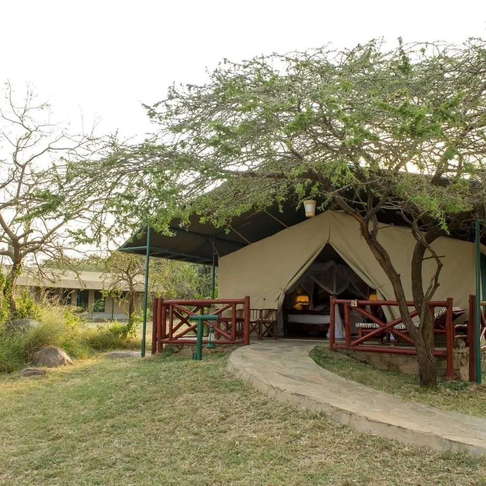 Lake Manyara. Tree Lions and Flamingos accommodation image