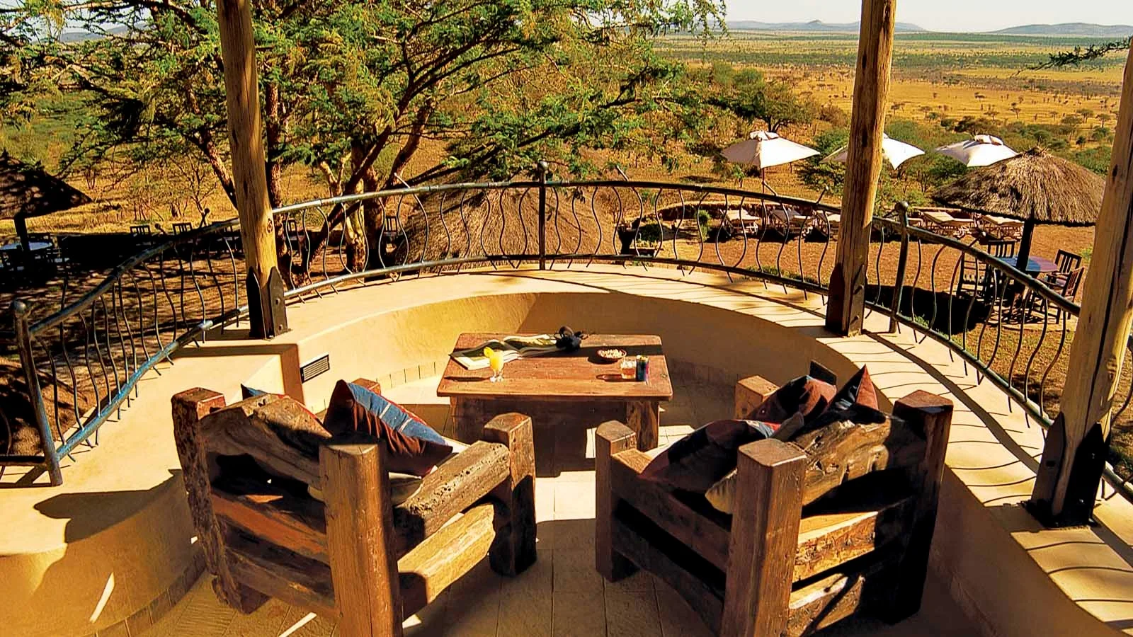 Full Day in the Serengeti accommodation image