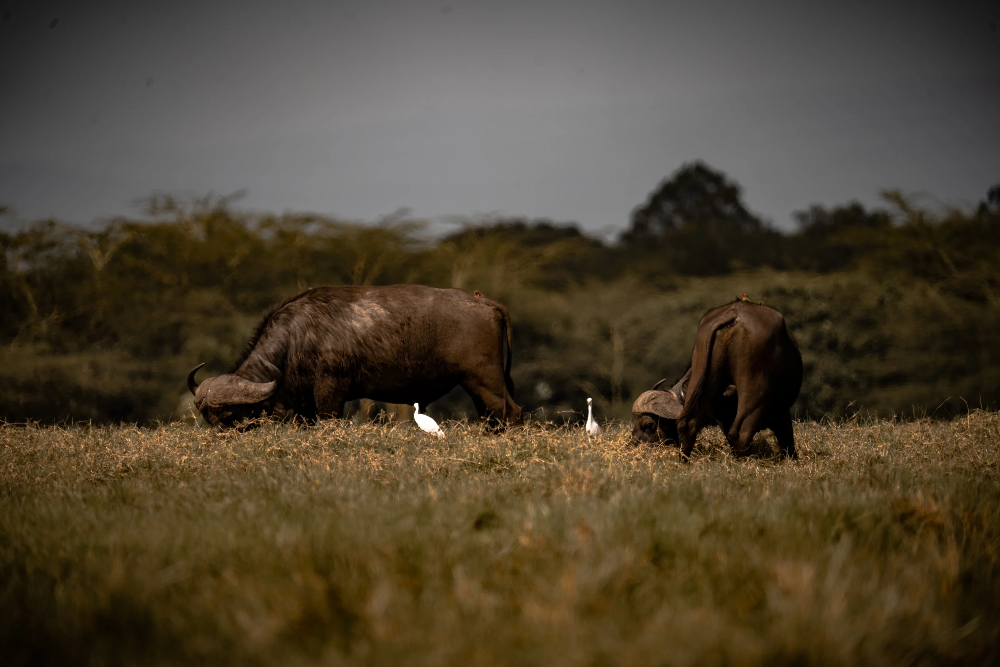 Teva EcoTravels Tanzania photograph 6