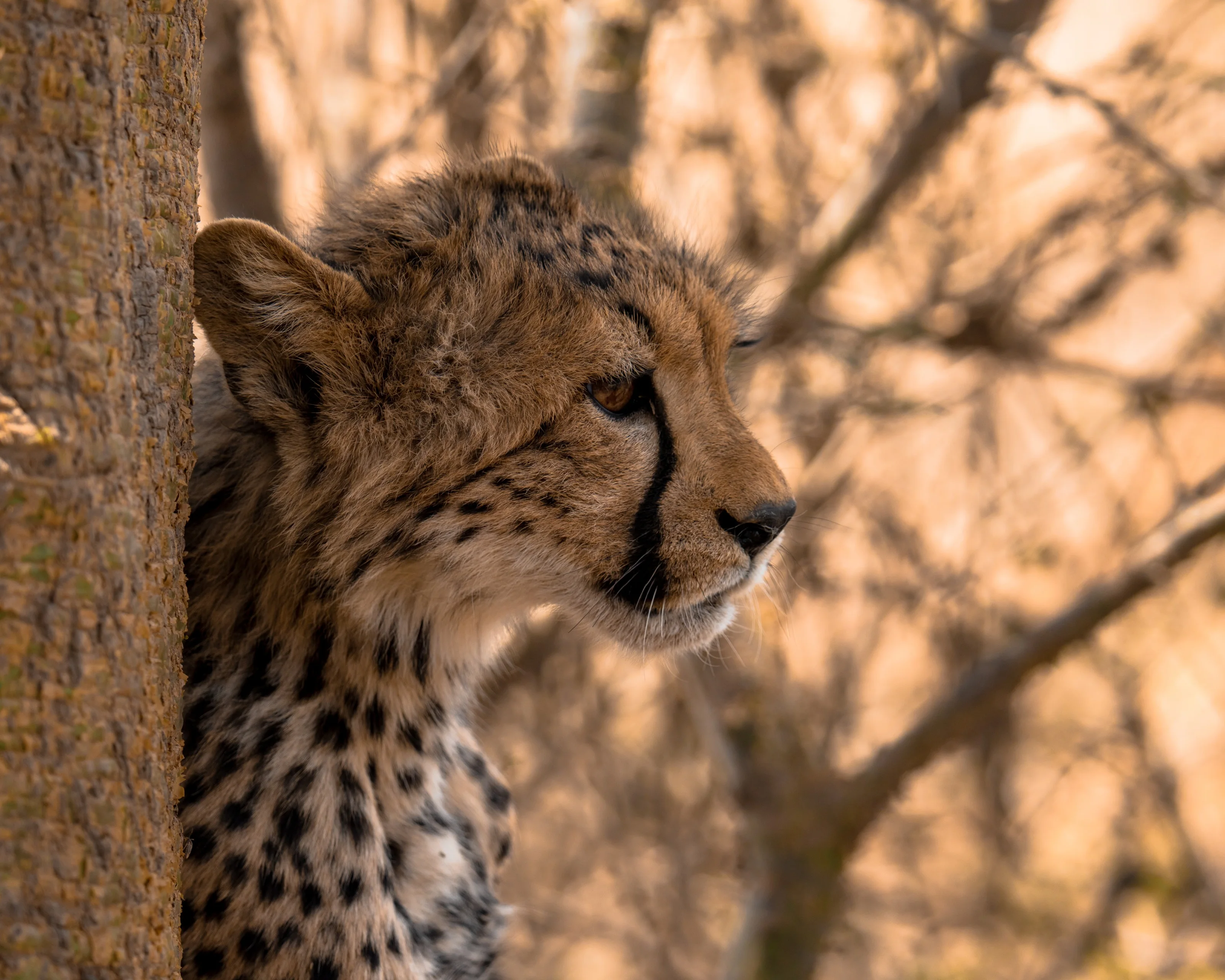 Teva EcoTravels Tanzania photograph 8